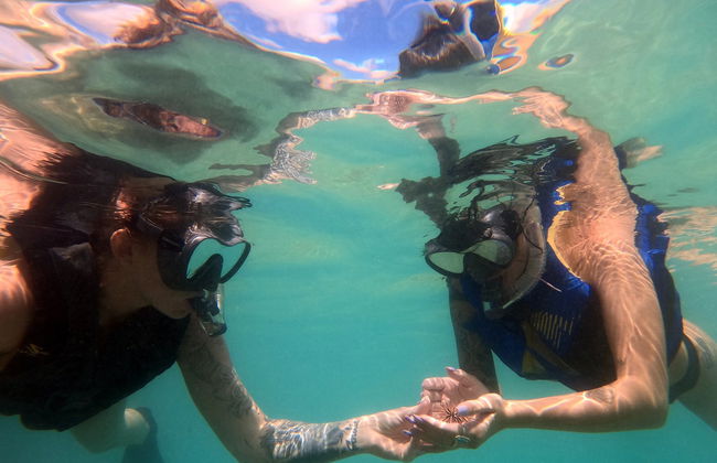 Snorkeling or Diving in Honolulu - Photo 5