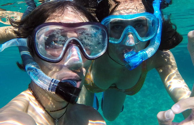 Snorkeling or Diving in Honolulu - Photo 6