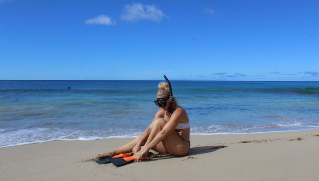Snorkeling ou plongée à Honolulu - Photo 3