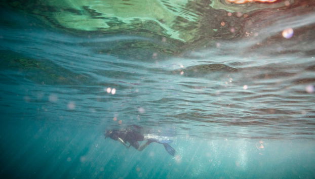 Snorkeling ou plongée à Honolulu - Photo 2