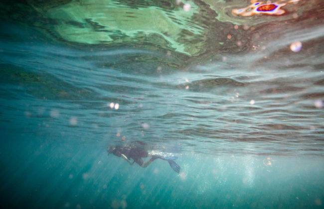 Snorkeling ou plongée à Honolulu - Photo 2