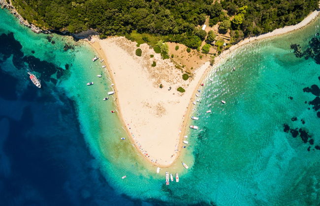 Crociera con avvistamento di tartarughe - Foto 1