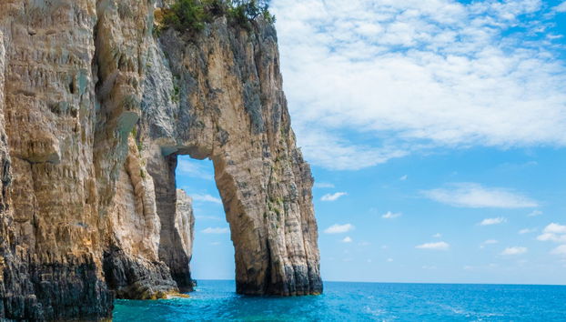 Crociera con avvistamento di tartarughe - Foto 3