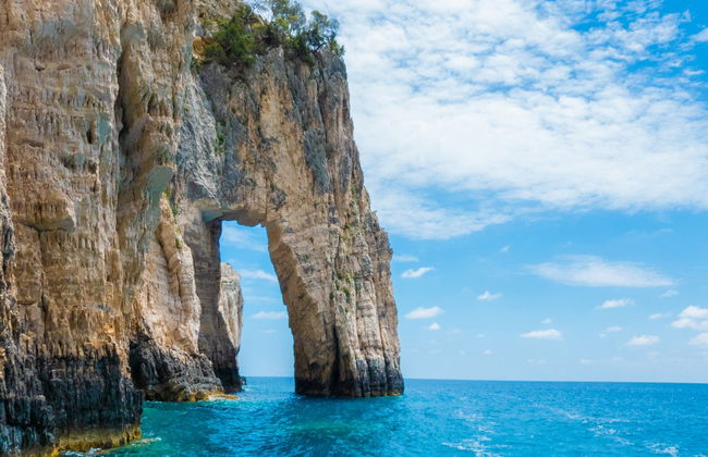 Crociera con avvistamento di tartarughe - Foto 3