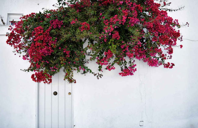 Excursión a Vejer y Conil de la Frontera desde San Fernando - Foto 2