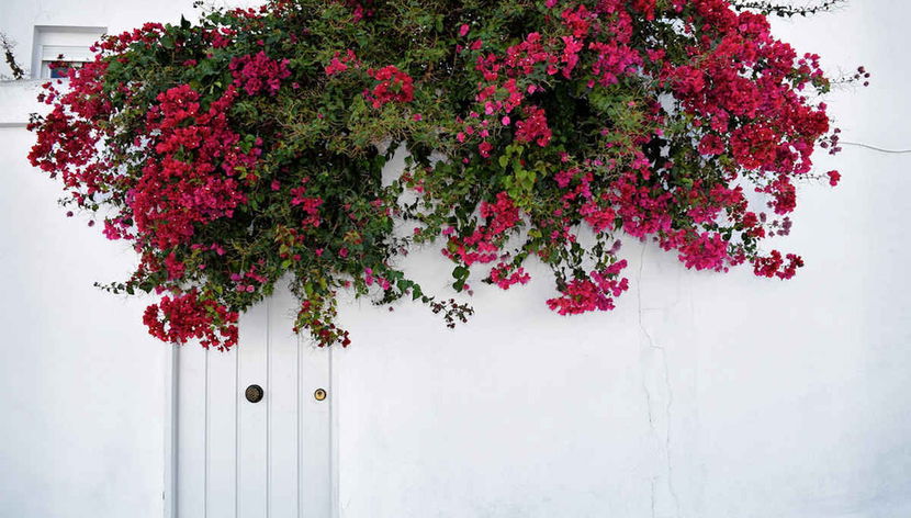 Excursión a Vejer y Conil de la Frontera desde San Fernando - Foto 2