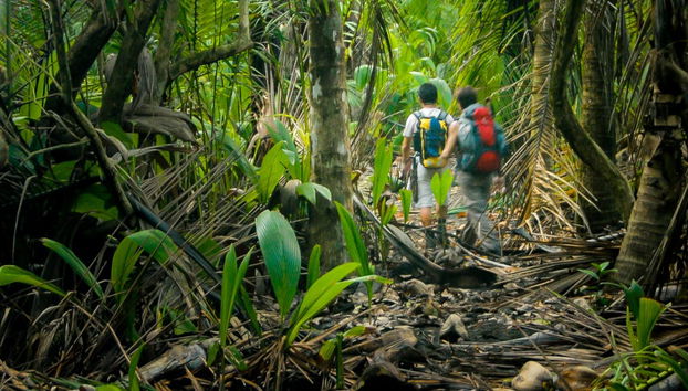 Rainforest Pacific Adventure Park - Photo 5