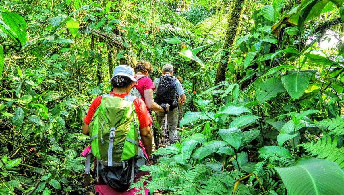 Rainforest Pacific Adventure Park - Photo 1