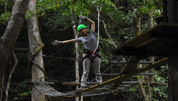 Rainforest Pacific Adventure Park - Photo 3