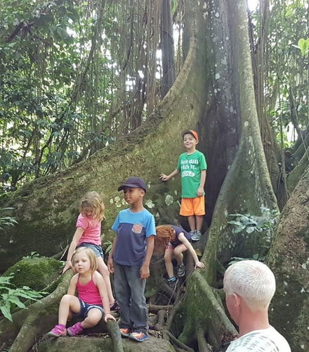 Foto de Senderismo por la selva de San Cristóbal