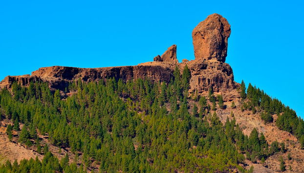 Full-Day Trip to the Peaks of Gran Canaria - Photo 3
