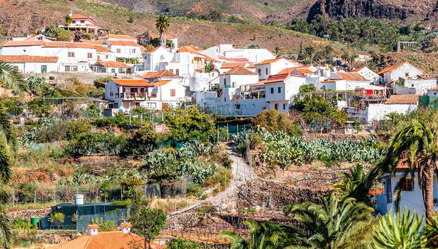 Full-Day Trip to the Peaks of Gran Canaria - Photo 4