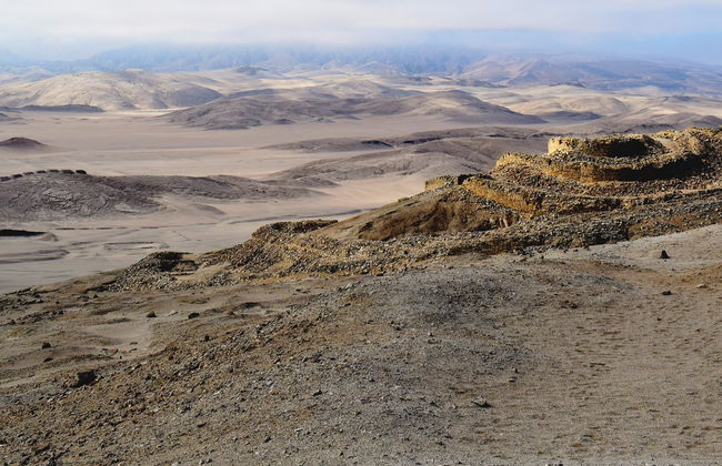 Excursión a Chankillo y su bosque de algarrobos - Foto 2