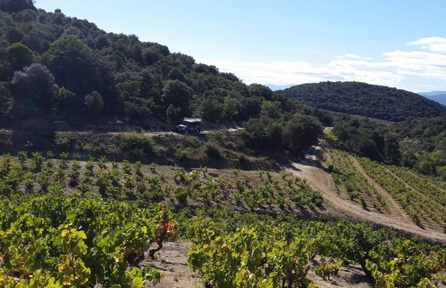 Bélesta Vineyards Jeep Tour - Photo 5
