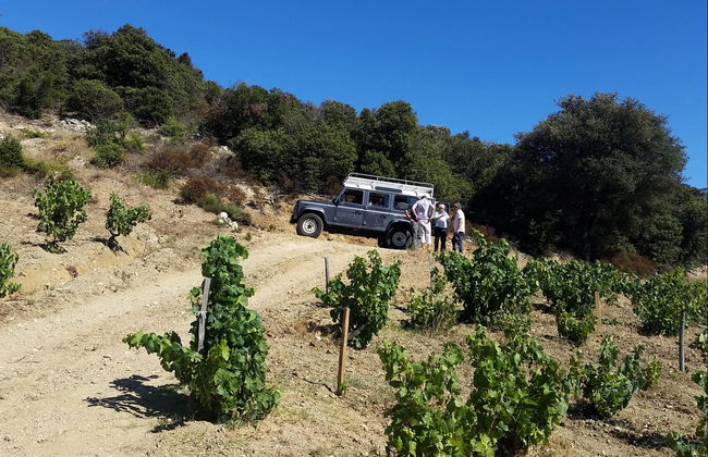 Bélesta Vineyards Jeep Tour - Photo 2
