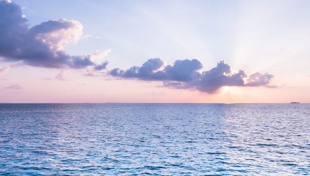 Avvistamento di delfini a Dhiffushi - Foto 4