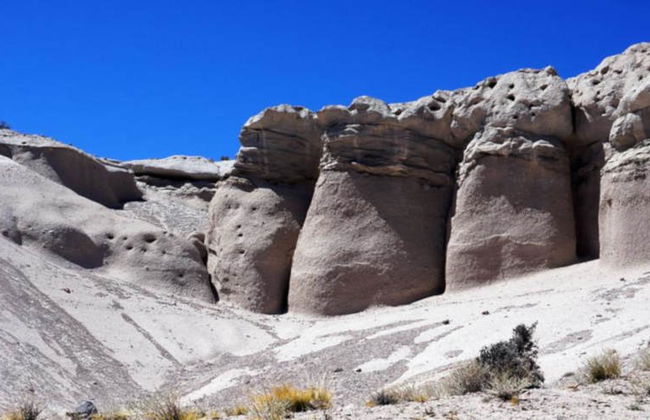 Excursión privada a los hongos de Tocota - Foto 5