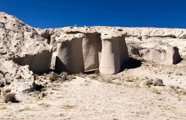 Excursión privada a los hongos de Tocota - Foto 2