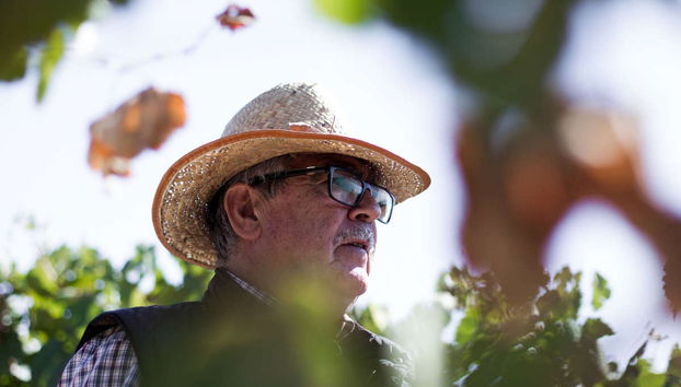 Visita alla cantina Pago de Tharsys - Foto 2