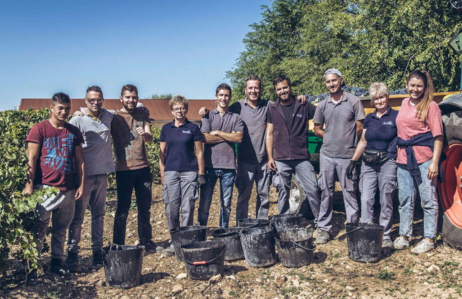 Visita a la bodega Pago de Tharsys - Foto 2