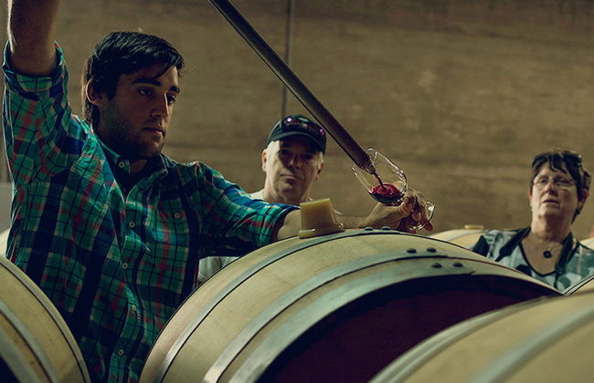 Visita a las bodegas Pizzorno - Foto 2