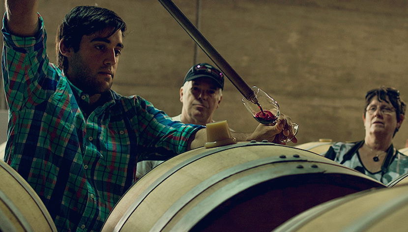 Visita a las bodegas Pizzorno - Foto 2