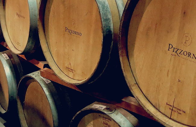 Visita a las bodegas Pizzorno - Foto 1