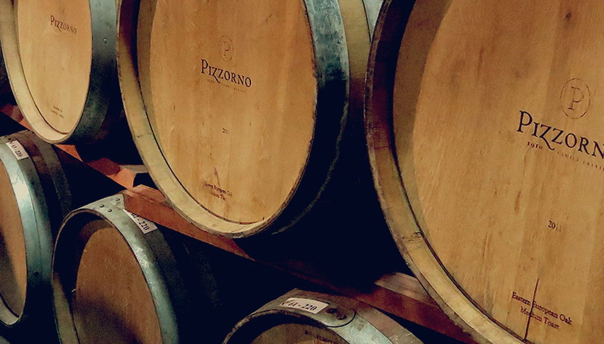Visita a las bodegas Pizzorno - Foto 1