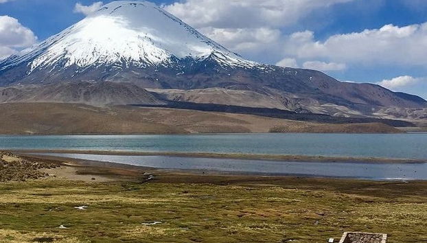 Excursão ao Parque Nacional Lauca - Foto 3
