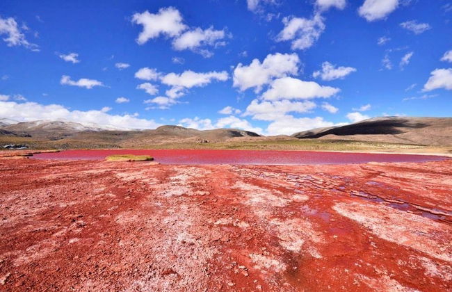 Excursión a la laguna Roja - Foto 1