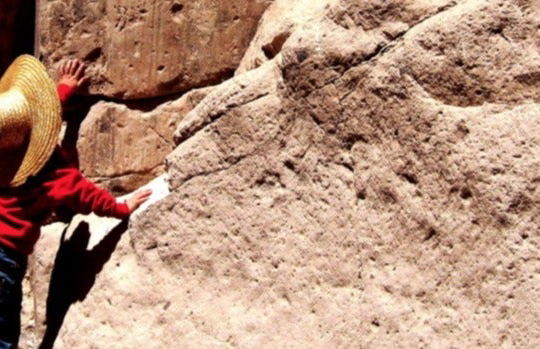 Excursión a la laguna Roja - Foto 5