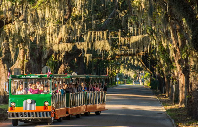 Trolebús turístico de San Agustín - Foto 2
