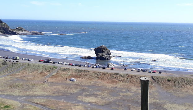 Tour por la costa del Gran Concepción - Foto 4