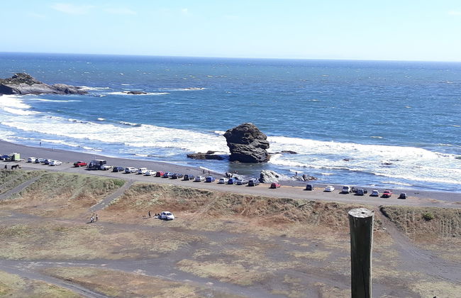 Tour por la costa del Gran Concepción - Foto 4