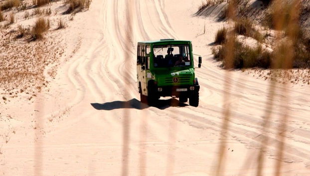 Visita guiada por el Parque Nacional de Doñana - Foto 2