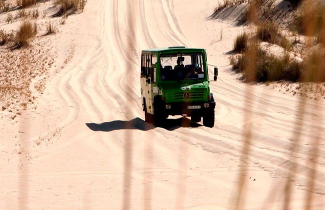 Visita guiada por el Parque Nacional de Doñana - Foto 2