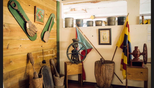 Excursión al Museo del Café de Ciales - Foto 4