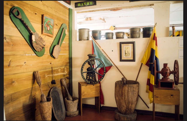 Escursione al Museo del Caffè di Ciales - Foto 4