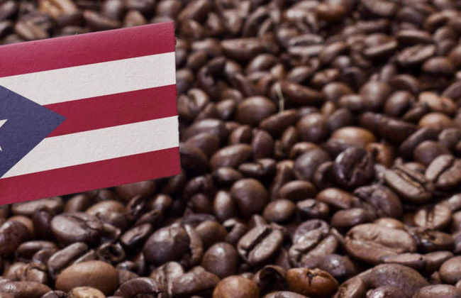 Escursione al Museo del Caffè di Ciales - Foto 2