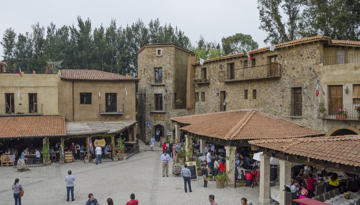 Chautla Hacienda, Lavender Fields & Val'Quirico Tour - Foto 1