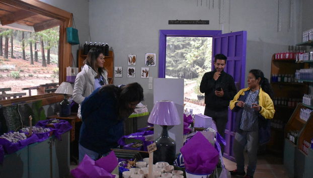 Chautla Hacienda, Lavender Fields & Val'Quirico Tour - Photo 4