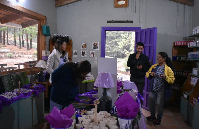 Campos de lavanda, Hacienda de Chautla y Val'Quirico - Foto 4