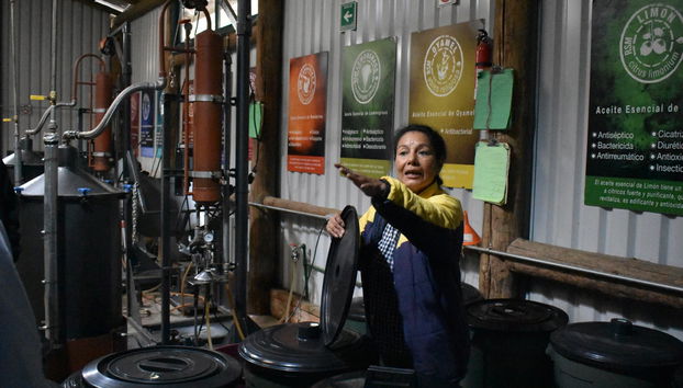 Chautla Hacienda, Lavender Fields & Val'Quirico Tour - Foto 2