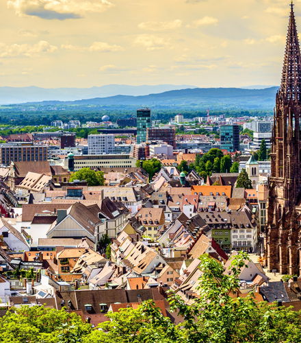 Bild - Tour privado por Friburgo de Brisgovia