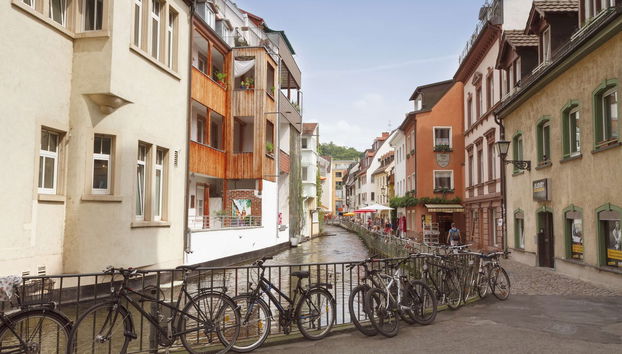 Tour privado por Friburgo de Brisgovia - Photo 3