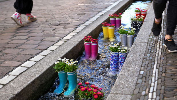 Tour privado por Friburgo de Brisgovia - Photo 4