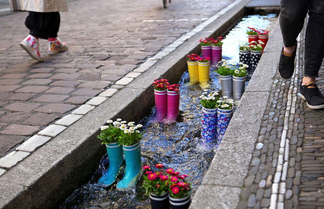 Tour privado por Friburgo de Brisgovia - Photo 4