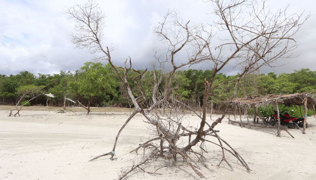 Jericoacaora West Coast Tour - Foto 4