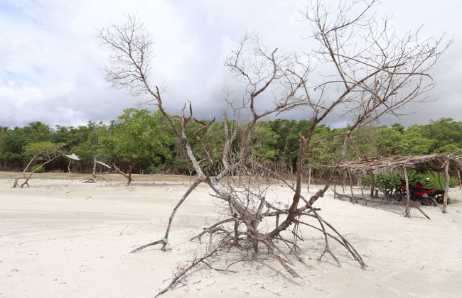 Jericoacaora West Coast Tour - Foto 4