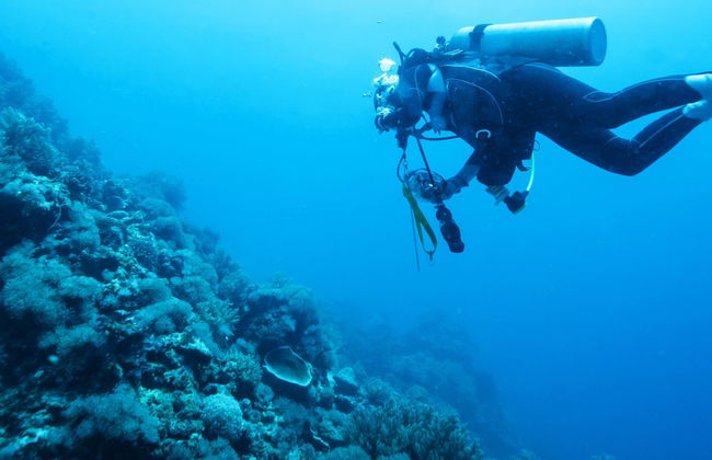 Curso de buceo PADI Open Water - Foto 3